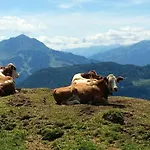 Casa de Férias No 5 Grossglockner
