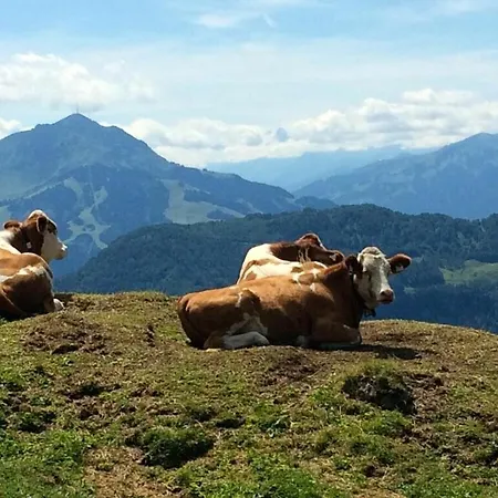 펜션 No 5 Grossglockner