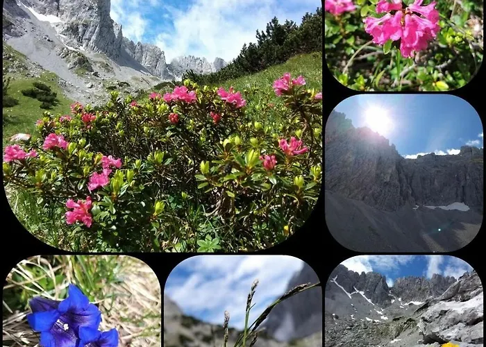 No 5 Grossglockner *