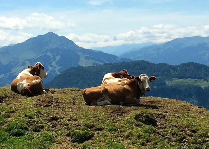 Casa de Férias No 5 Grossglockner
