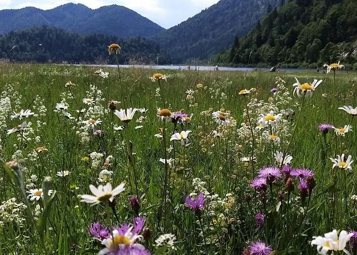 No 5 Grossglockner Casa de Férias *